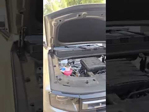 اشتريت جيتور 1 وشقي عمري ضاع جيتور