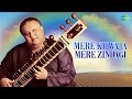 Mere Khwaja Mere Zindagi | Ustad Shujaat Khan |  Album: Satrangee | Lyrical Video