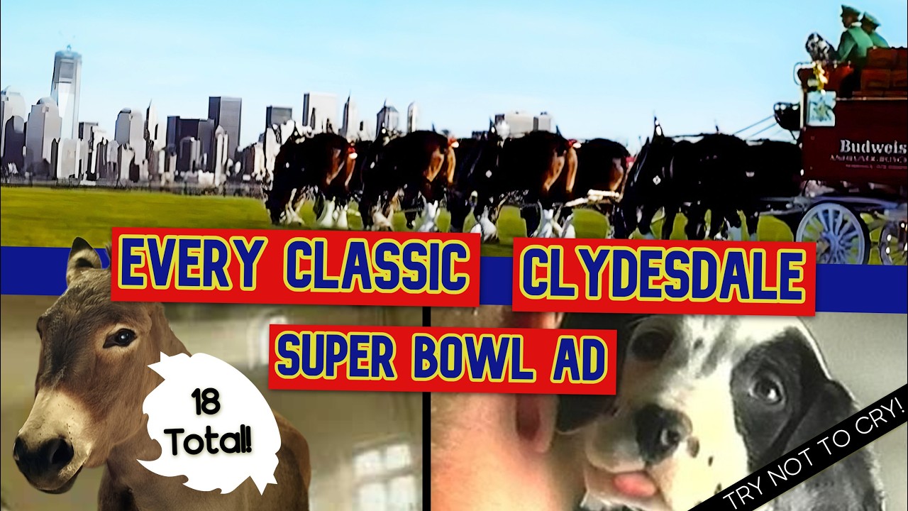 Все рекламные ролики Budweiser Clydesdale на Суперкубке! 🏆 #superbowl #superbowllads #superbowllix