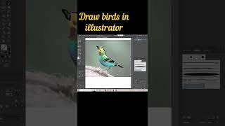 how to draw birds in illustrator #birds #bird #drawing #draw #art #artist #artwork #illustrator
