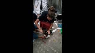 Becky Killing A Chicken. Becky Killing A Chicken.