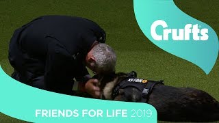 Friends for Life Final | Crufts 2019