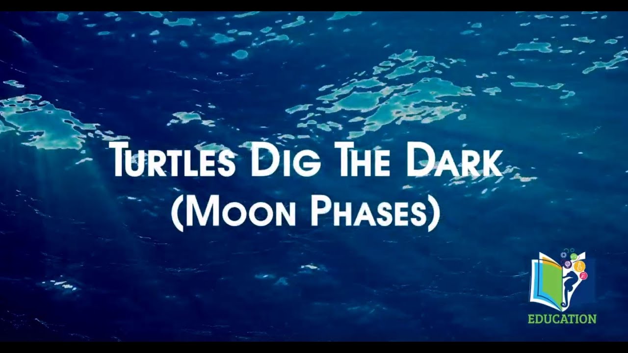Deep Sea Learning: Turtles Dig The Dark / Moon Phases