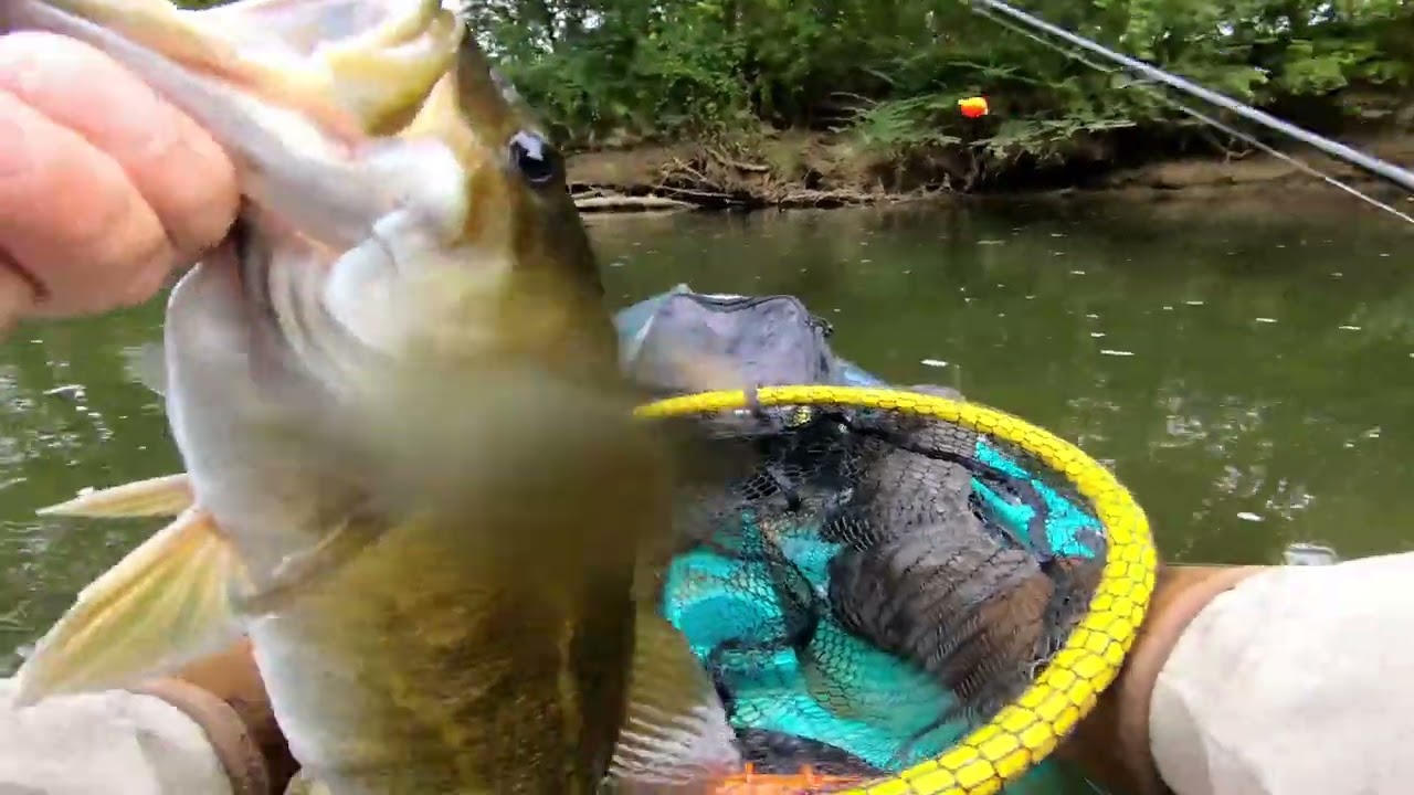 Fall Bass Fishing Is HOT Right Now!
