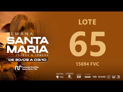 LOTE 65 FVC 15694