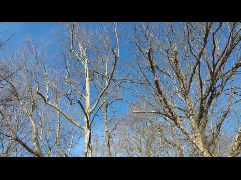 Widowmaker - Heads Up