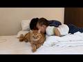 子供たちから猫への行ってきますが可愛すぎました
