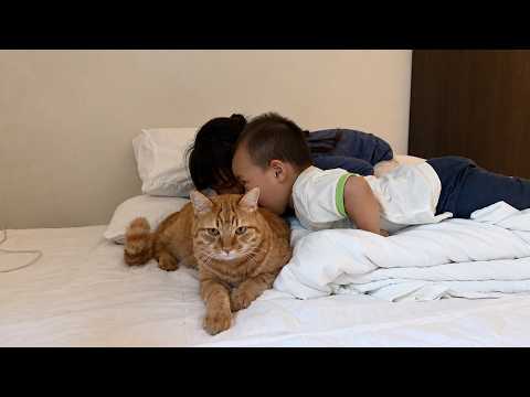 子供たちから猫への行ってきますが可愛すぎました