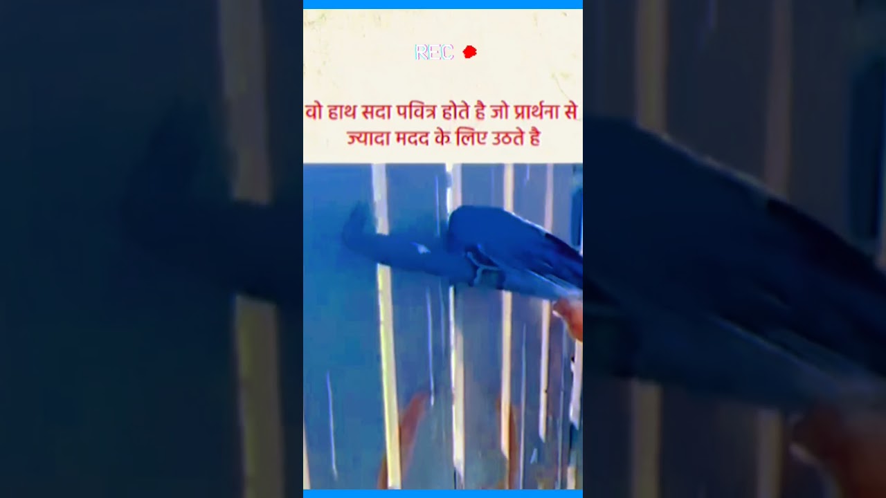 Помогающие руки 🙌