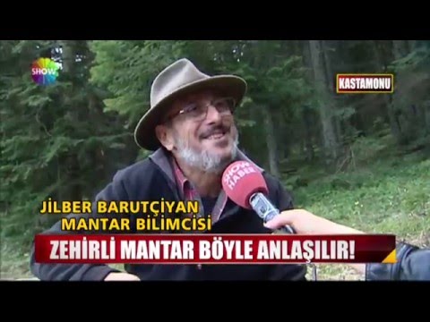 Video: Zehirli Entoloma: mantarın fotoğrafı ve açıklaması