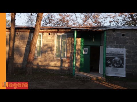 ქსელი | კინო თეთრიწყაროში