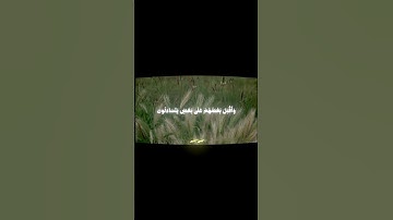 سورة الطور | #quran #قرآن #المصحف #علي_جابر