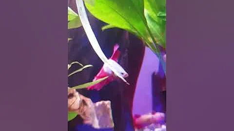 20190321 170426