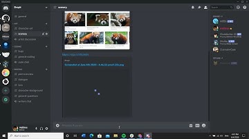 Share Screenshots on Discord