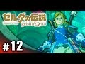 #12【実況】FPS実況者がプレイするゼルダの伝説ブレス オブ ザ ワイルド!【ハセシン】