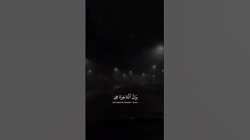 اكتب شي تؤجر عليه 🤍 | القارئ محمد المنشاوي | قرآن كريم
