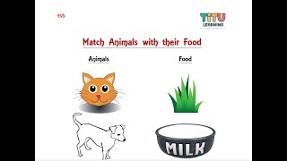 Lets match Animals with the food they eat || क्या आप सॉल्व कर सकते है कौनसा जानवर क्या खाता है