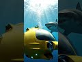 The Shark want to marry the yellow.