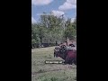 Child Emerges From Vehicle After High Speed Chase Turns Into Rollover Crash 