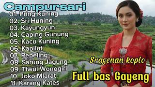 Kumpulan Lagu Cdanursari Sragenan Koplo  Bass Gayeng Konco Kerjo