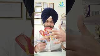 Urine Vs Semen Why They Never Come Out Together  Human Biology Facts  Dr Varinder Virdi