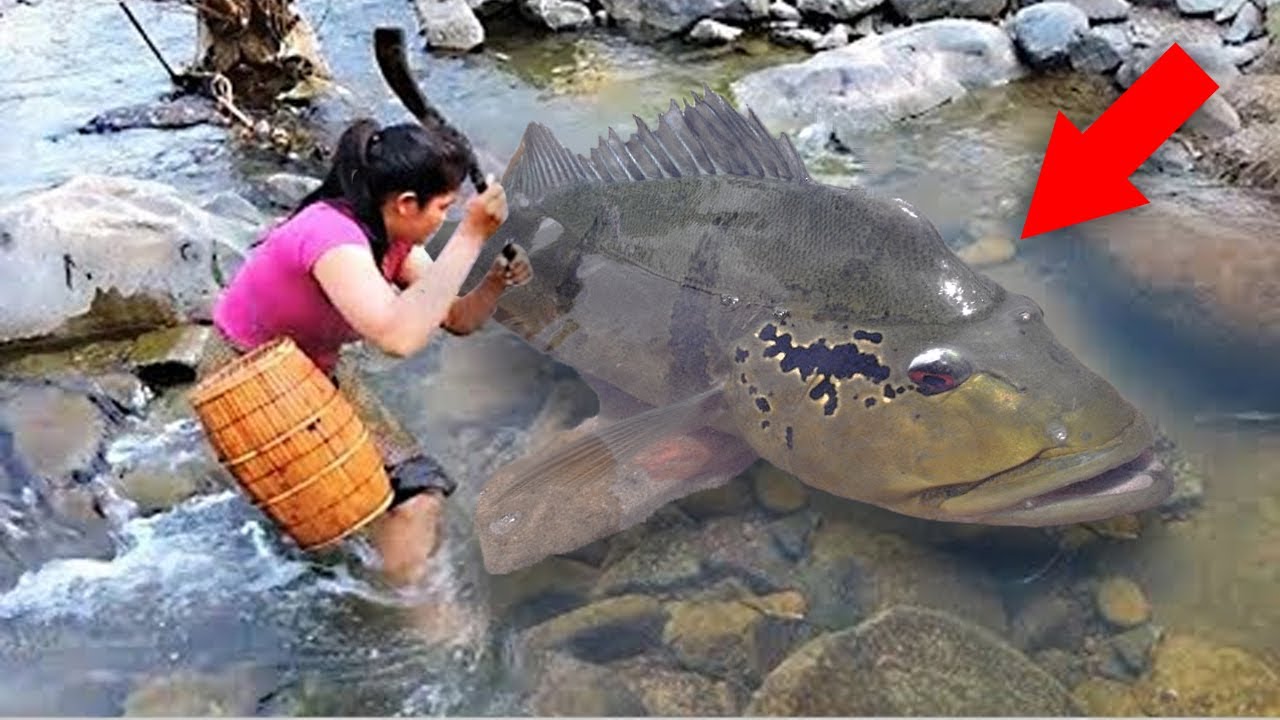 Deadliest River Monsters Hiding in the Amazon