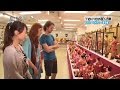 TOKYO外国人百景「EAST TOKYO ～浅草橋～」 問屋街・アクセサリーパーツ・人形・提灯・久月総本店（安田真理） [モーニングCROSS]