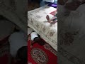 কিছু খুঁজছে মাহাদি