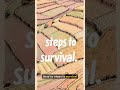 Steps to Survival: How Terrace Farming Transformed Ethiopia’s Highlands”. #Ethiopia #TerraceFarming