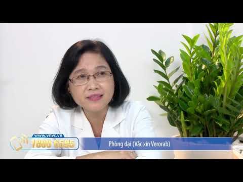 Video Tiêm vắc xin dại có tác dụng phụ gì không? - youtube
