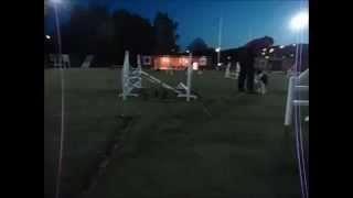 Slalom, føring og hoppeteknikk