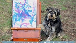 Illusions by Koby AKA Puppy Einstein