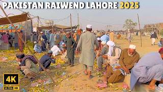 Download Lagu 🇵🇰 4K Wandeling door Lahore Ijtima 2025 | Eten, Bayan \u0026 Spirituele Bijeenkomst MP3