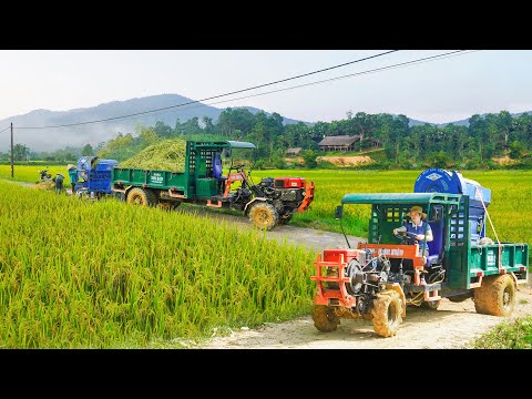 Use Truck To Transport Rice Threshing Machine - Transport Many Heavy Bags Of Rice To Villagers