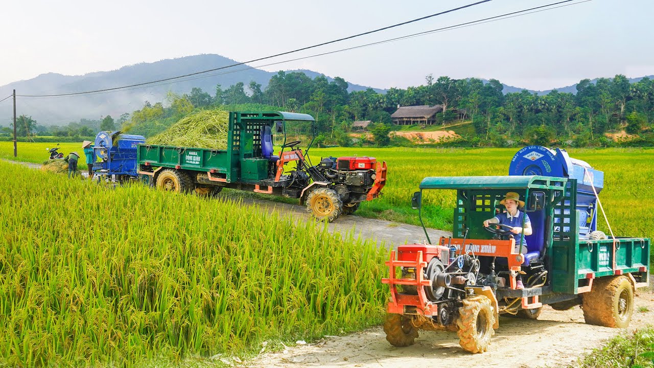 Use Truck To Transport Rice Threshing Machine - Transport Many Heavy ...