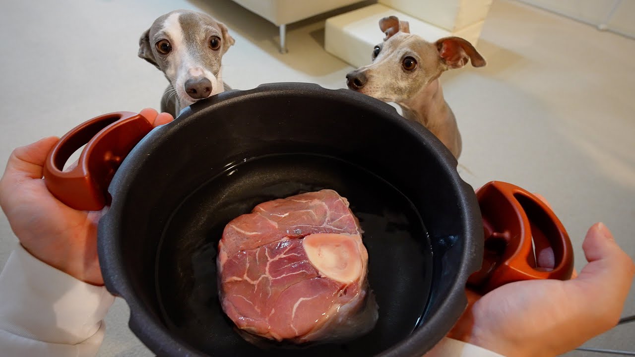 愛犬に超特大の牛スネ肉をプレゼントしたら目ん玉がとび出たwww