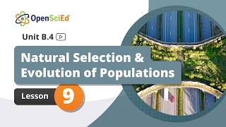 Unit B.4 Lesson 9 Planning Video | OpenSciEd On-Demand Resources