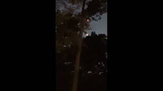 FBI-UAP-PR004: Northeastern Orb Sighting, 2025 | The UFO Files