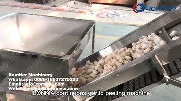 Automatic Garlic Clove Splitting Machine
