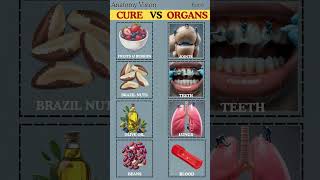 Food as Medicine How Simple Foods Strengthen Your Organs Naturally