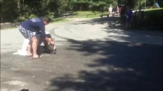 Osprey Release