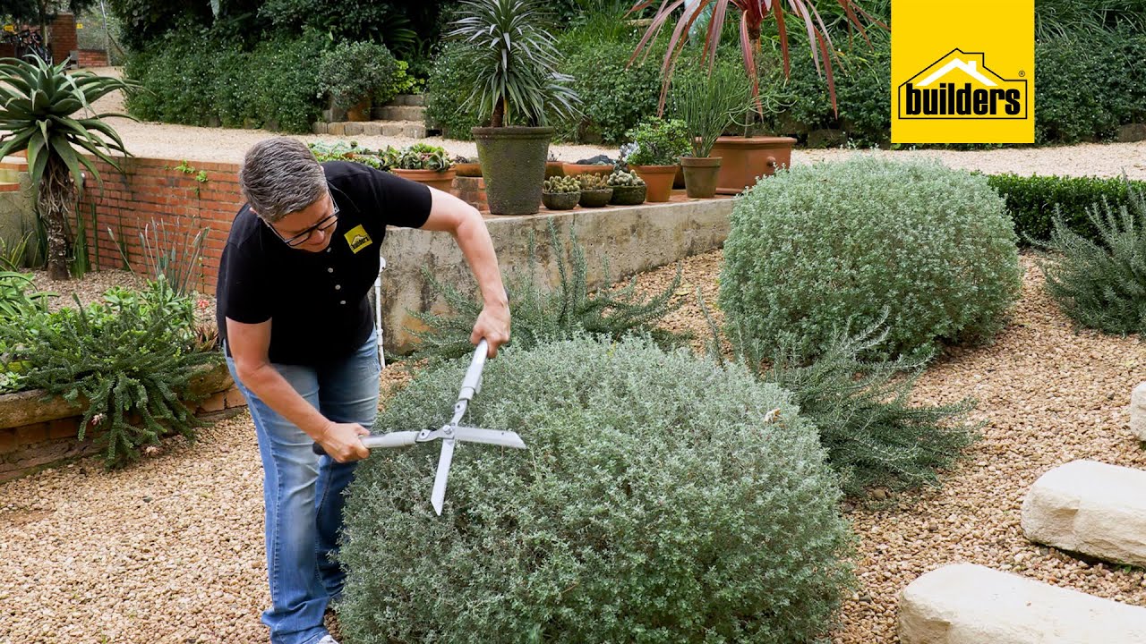 How To Trim Your Hedges With The Garden Master Hedge Shears - YouTube