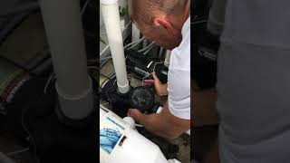IMG 4699