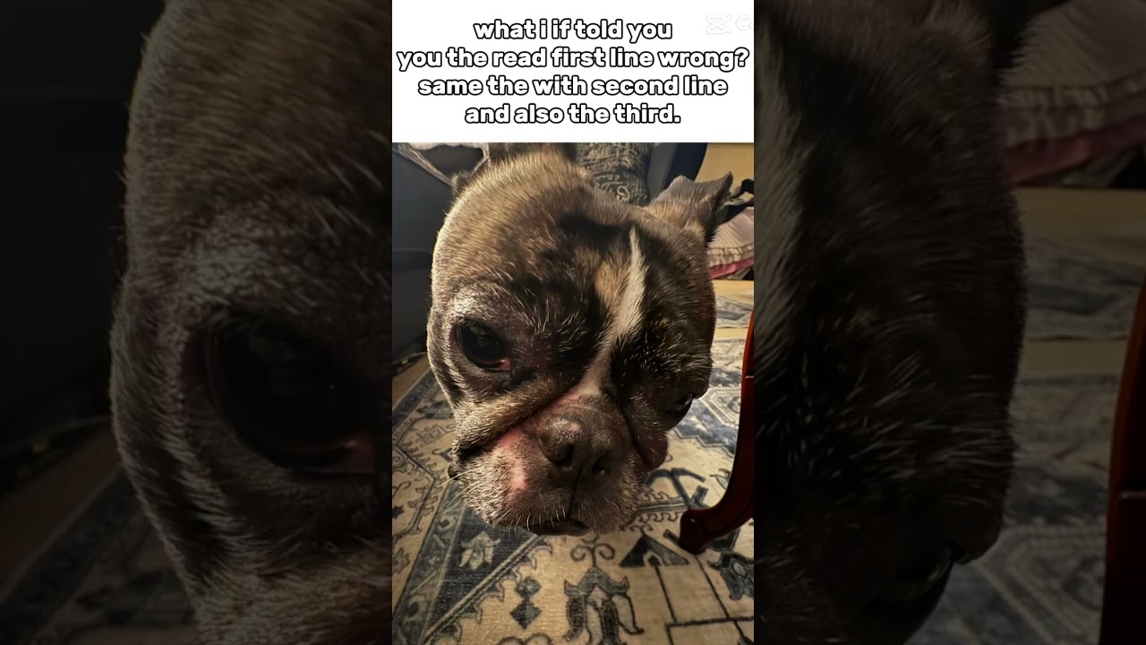 I bet you did read them wrong… 