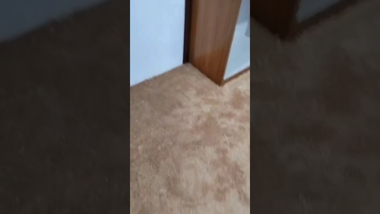 Carpet Plain Rust Brown Colour 