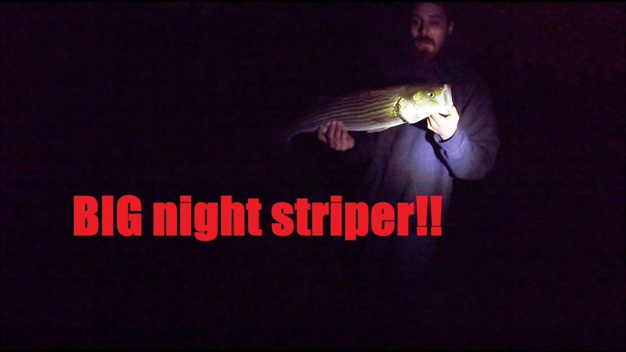 Catching BIG striper from a saltwater POND!! Virginia Beach, VA