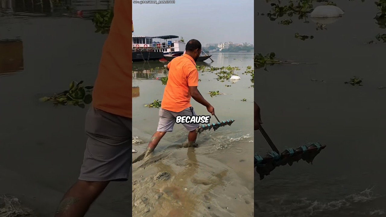 Магнит для зарабатывания денег😮