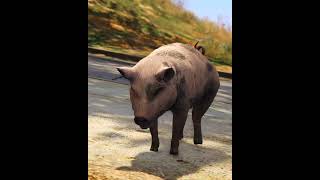 Criminal Aur Pigu Ki Park Me Ladai Hoi