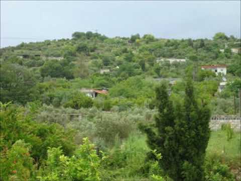 عيسى نعوس مسعد يا تنور