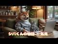 4月 シバくんの物語　一気見-1